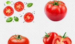 番茄小视频,轻松解锁生活小技巧